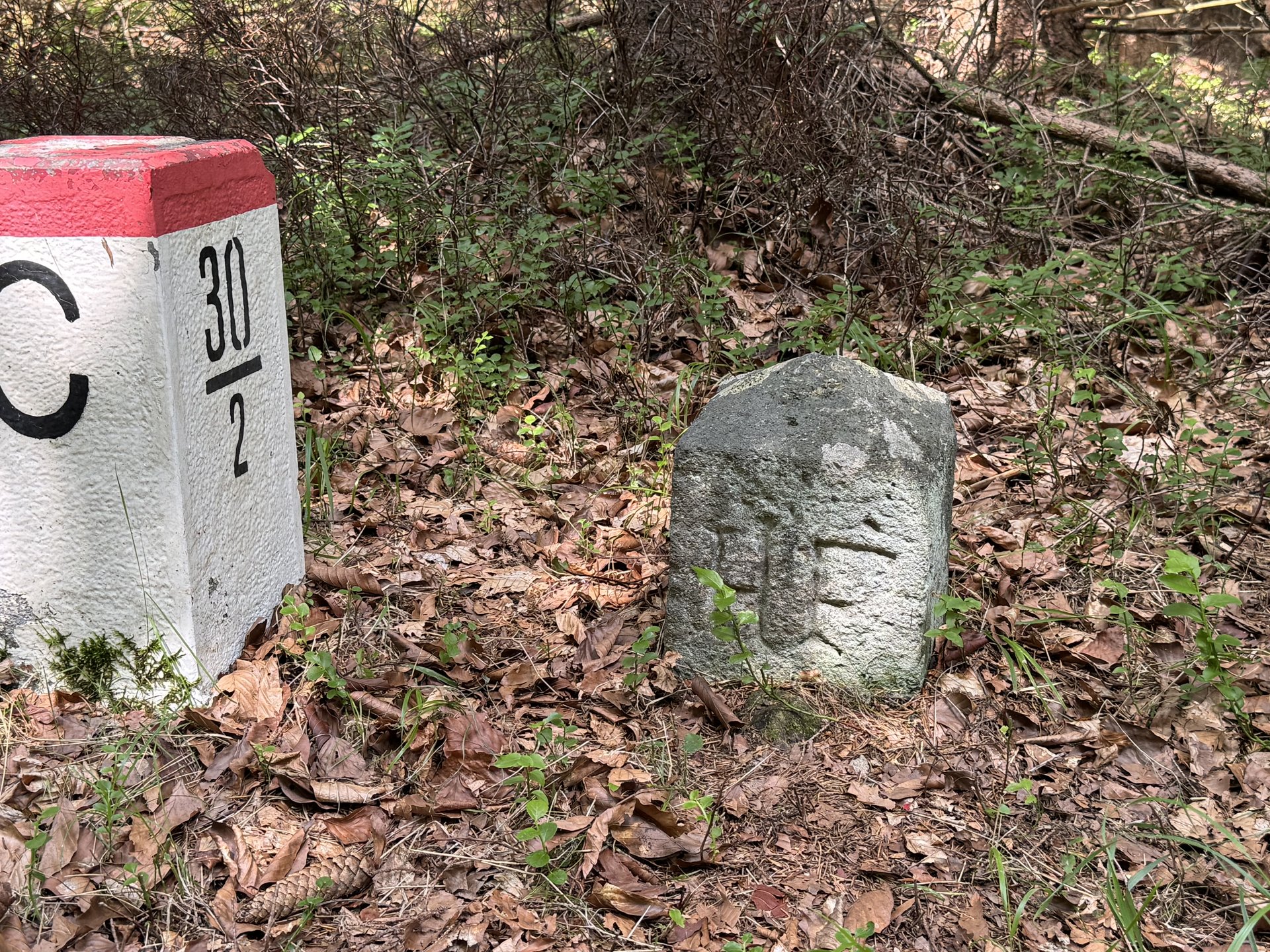 Old and new border markers along the ridge